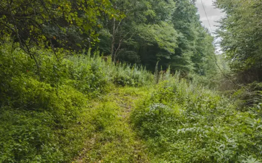 Mountain Property for Sale in Newland, NC!