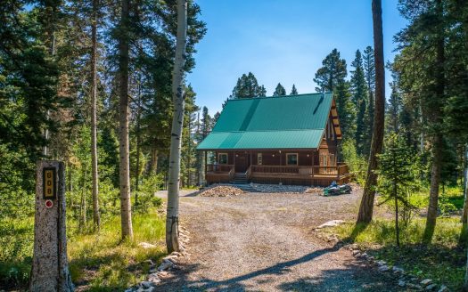 Cimarron Colorado luxury homes real estate listing photo 1