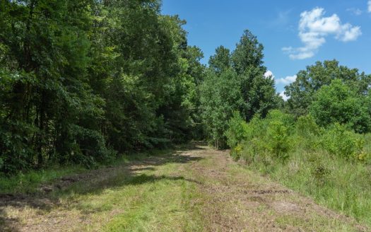 West Monroe Louisiana luxury homes real estate listing photo 1