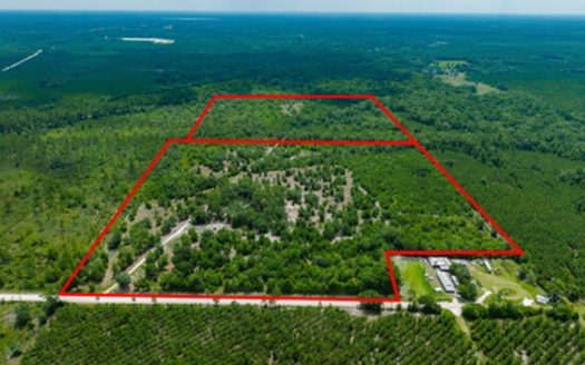 Lulu Florida luxury homes real estate listing photo 1