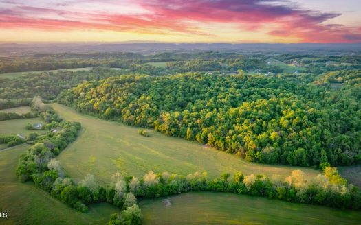 Midway Tennessee luxury homes real estate listing photo 1