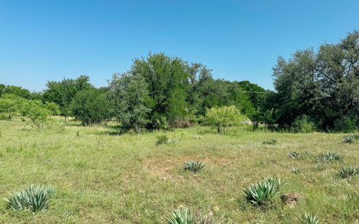 Brownwood Texas luxury homes real estate listing photo 1