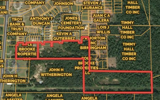 Troy Alabama luxury homes real estate listing photo 1