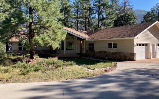 Ridgway Colorado luxury homes real estate listing photo 1