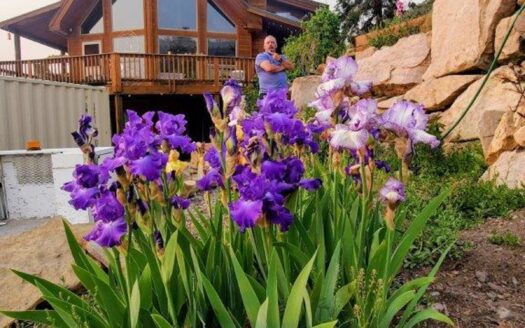 Ridgway Colorado luxury homes real estate listing photo 1