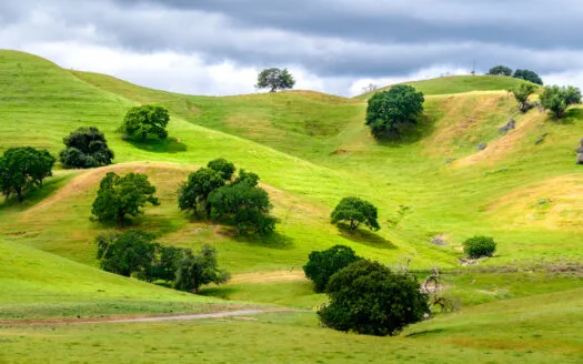 Vacaville, CA Luxury Country Estate Lots for Sale Horse Friendly