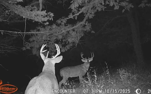 Hunters Paradise!!  Stunning 92.4-Acre IA-MO Border House