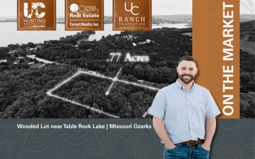 Wooded Lot Near Table Rock Lake | MO Ozarks