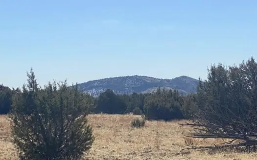 Camping Hunting Recreational Land for Sale in Arizona