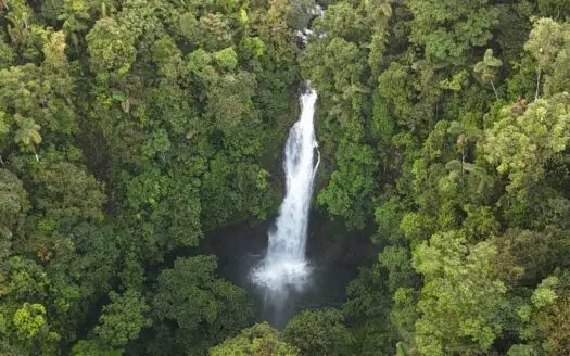 Large Ranch land for sale in Costa Rica bordering National Park