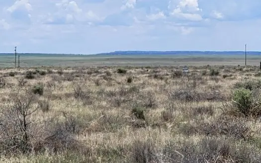 Secluded 60-Acre Retreat in McIntosh, NM – Torrance County