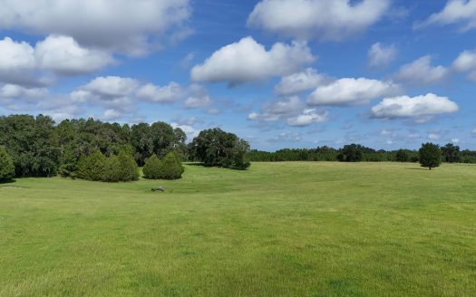Fort White Florida ranches real estate listing photo 1