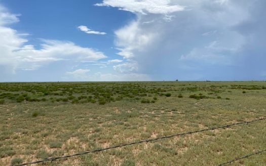 Estancia New Mexico ranches real estate listing photo 1
