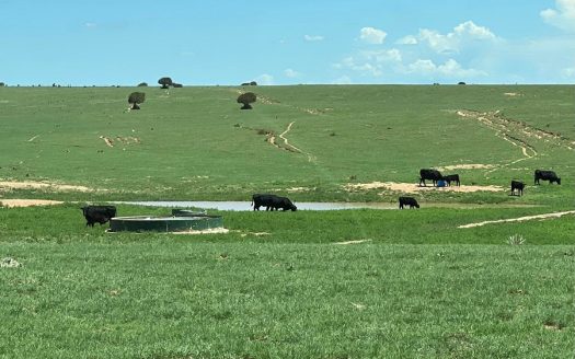 Estancia New Mexico ranches real estate listing photo 1