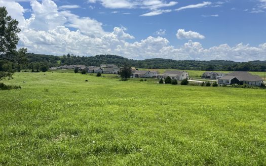 Spring Hill Tennessee ranches real estate listing photo 1
