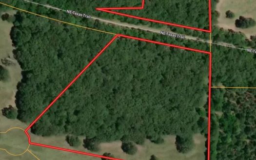 Bagwell Texas ranches real estate listing photo 1