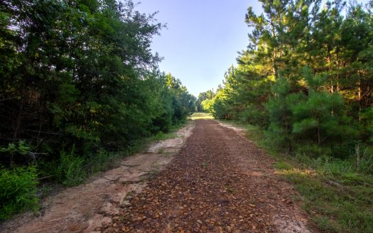 Atlanta Texas ranches real estate listing photo 1