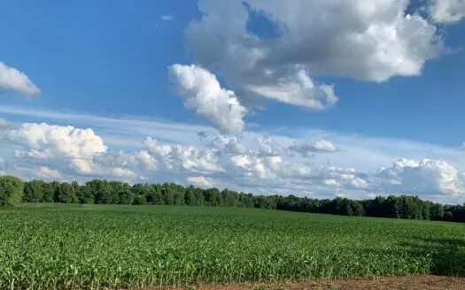 144-Acre Income-Producing Farm for Sale – Madison County, TN