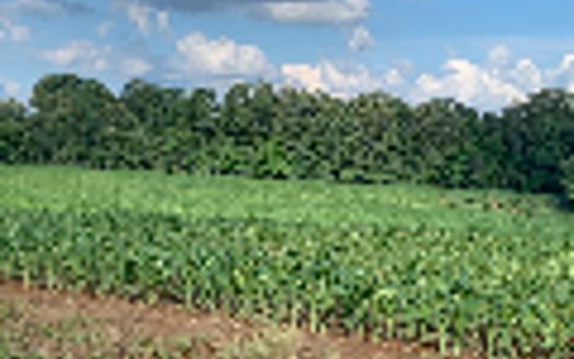 Jackson Tennessee ranches real estate listing photo 1