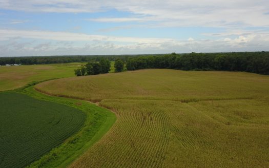 Beulaville North Carolina ranches real estate listing photo 1