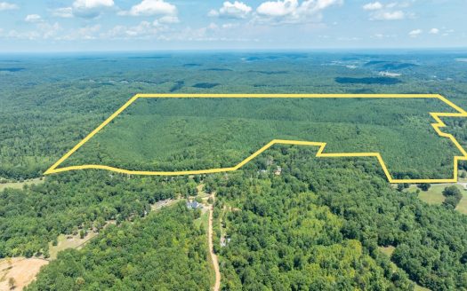 Hohenwald Tennessee ranches real estate listing photo 1