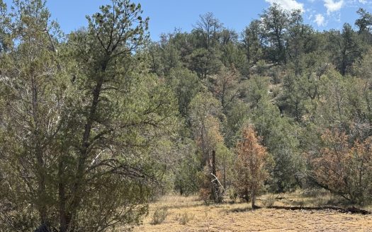 Seligman Arizona ranches real estate listing photo 2