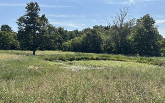 Ellington Missouri ranches real estate listing photo 1