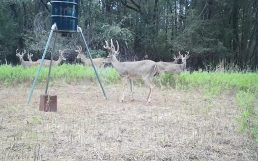 Granite Oklahoma ranches real estate listing photo 1