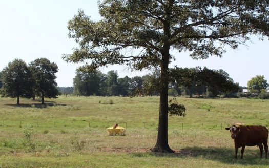 Fouke Arkansas ranches real estate listing photo 1