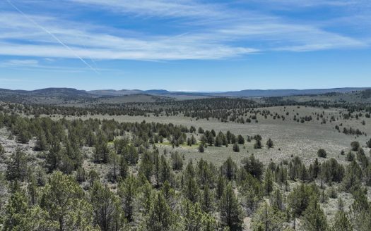 Hines Oregon ranches real estate listing photo 1