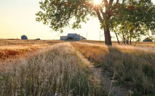 Sun Prarie Homestead with 628.91 Acres South Phillips County MT