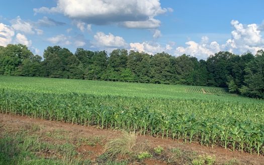 Jackson Tennessee ranches real estate listing photo 1