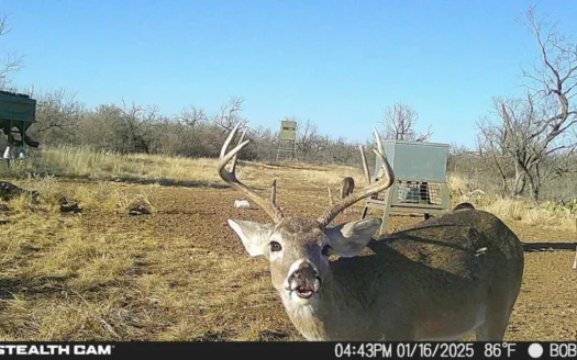 Turnkey Hunting Ranch in Gouldbusk, TX for Sale