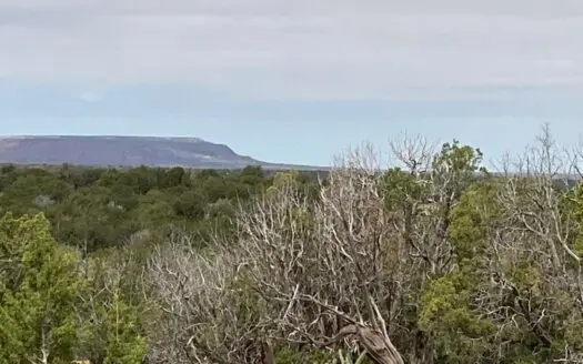 40 Acres for Sale in Bull Canyon Ranches, NM – Red Rock Views