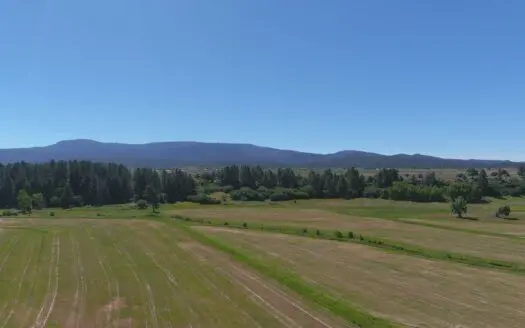 152+/- Acre Irrigated Hay Farm/Ranch For Sale Near Chama NM