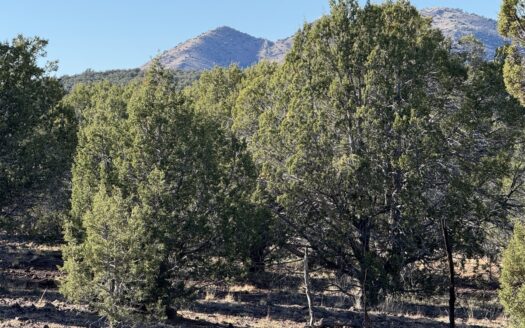 Williams Arizona ranches real estate listing photo 1