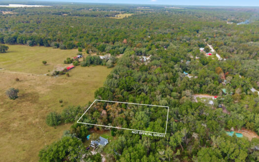 Old Town Florida ranches real estate listing photo 1