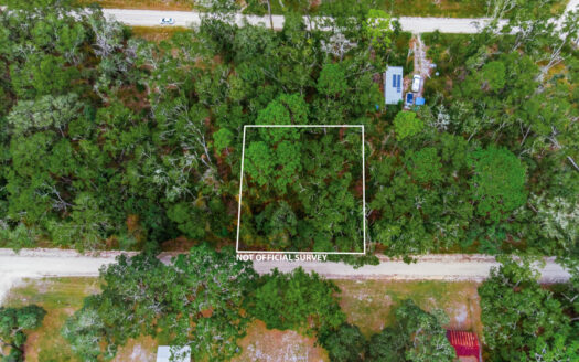 Old Town Florida ranches real estate listing photo 1