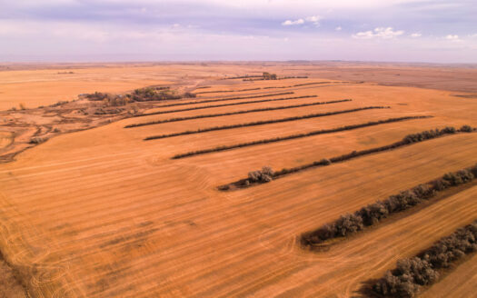 Froid Montana ranches real estate listing photo 1