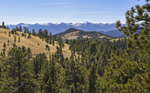 Cotopaxi Colorado ranches real estate listing photo 1