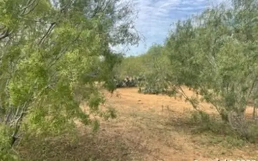 Land for Sale in Jourdanton, TX