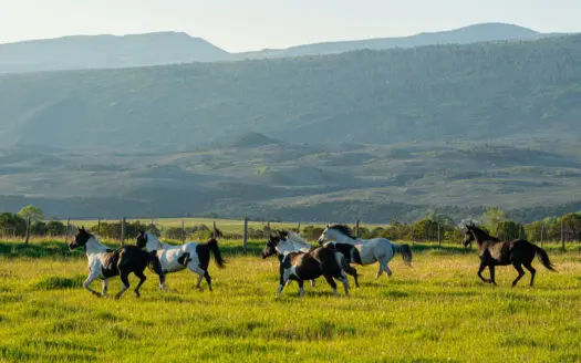 The Gates Ranch – Colorado Mountain Legacy Ranch