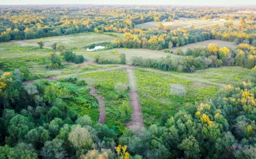 Recreational Hunting Land For Sale in Winnsboro TX