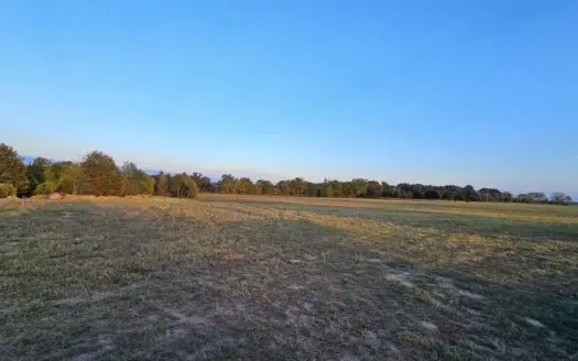 Overton TX Land for Sale Near Kilgore in Rusk County East Texas