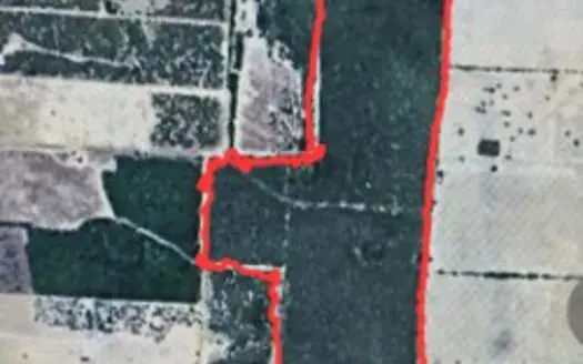 110.91 acres of South Texas Brush. A Blank canvas In Duval County