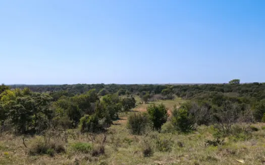 Texas Hunting Land For Sale Ranches Montague County Property