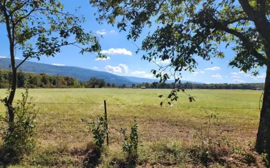 Blackfork Mountain Homesite Adjoining National Forest