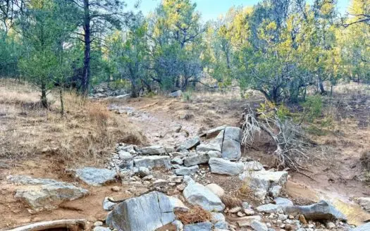 Large Wooded Mountain Land for Sale with Highway Frontage NM