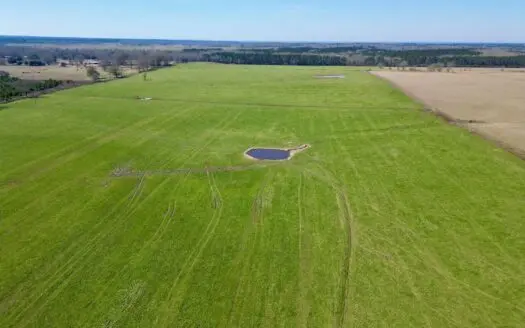 Cattle Farm for Sale in South Mississippi