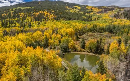 Colorado Hunting Ranch for Sale in Twin Lakes, CO!